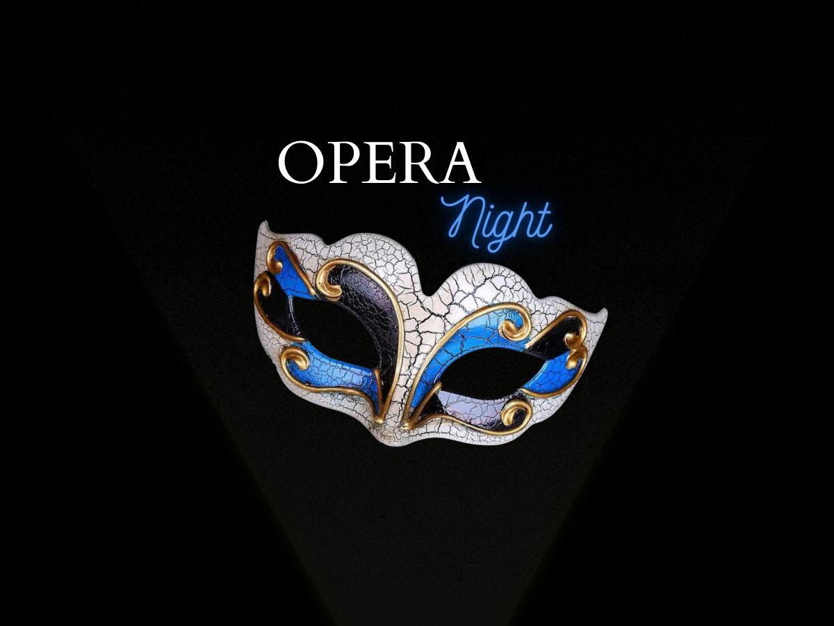Opera Night во дворике Д30