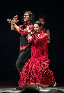 Flamenco  Capriccios